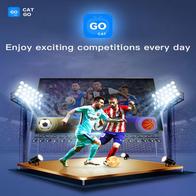 Digibox BT5.2 Iptv Box 4GB Ram Bluetooth Voice Control Voor TV